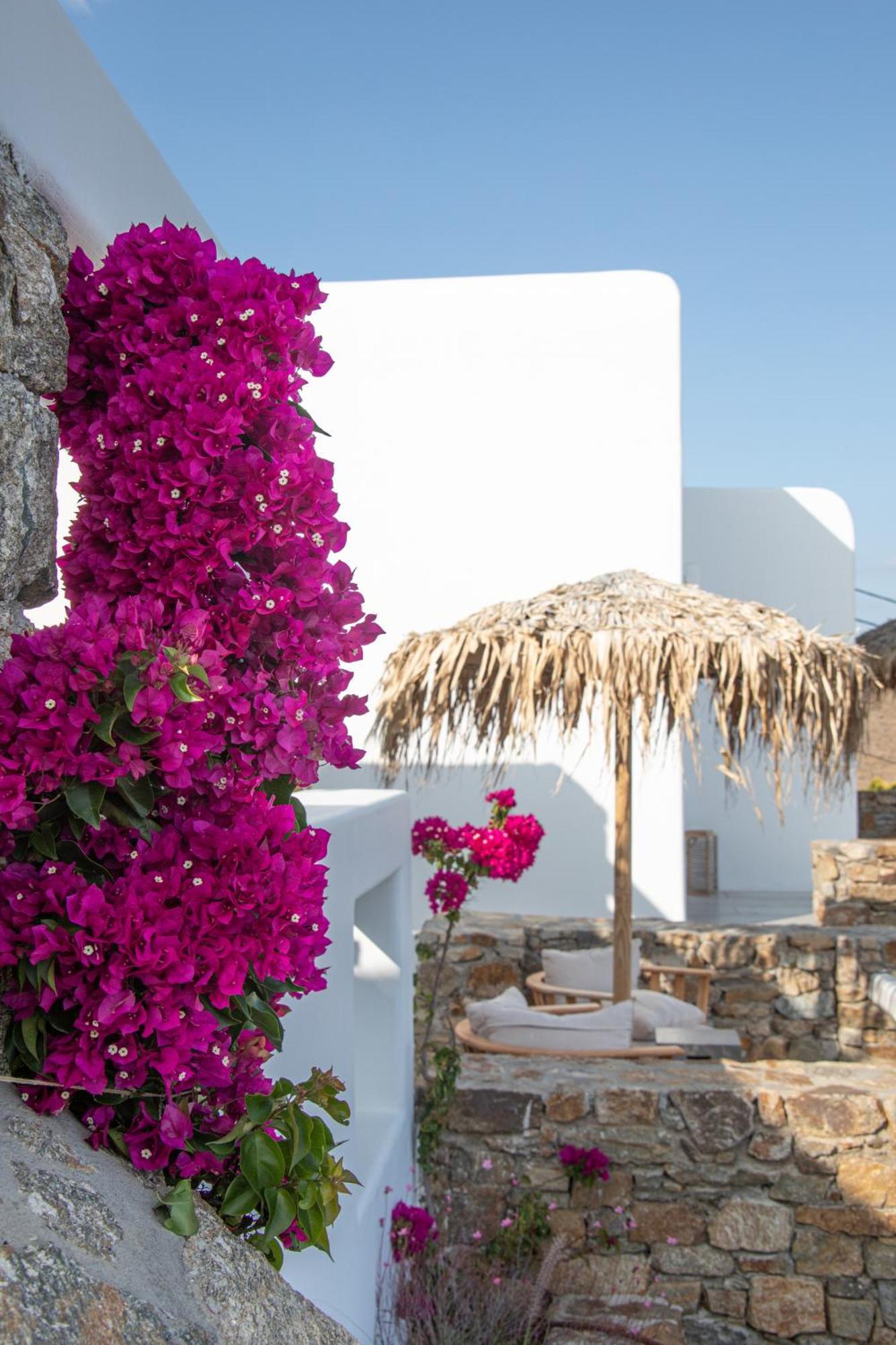 The Summit Of Mykonos Bed & Breakfast Kalo Livadi Exterior photo