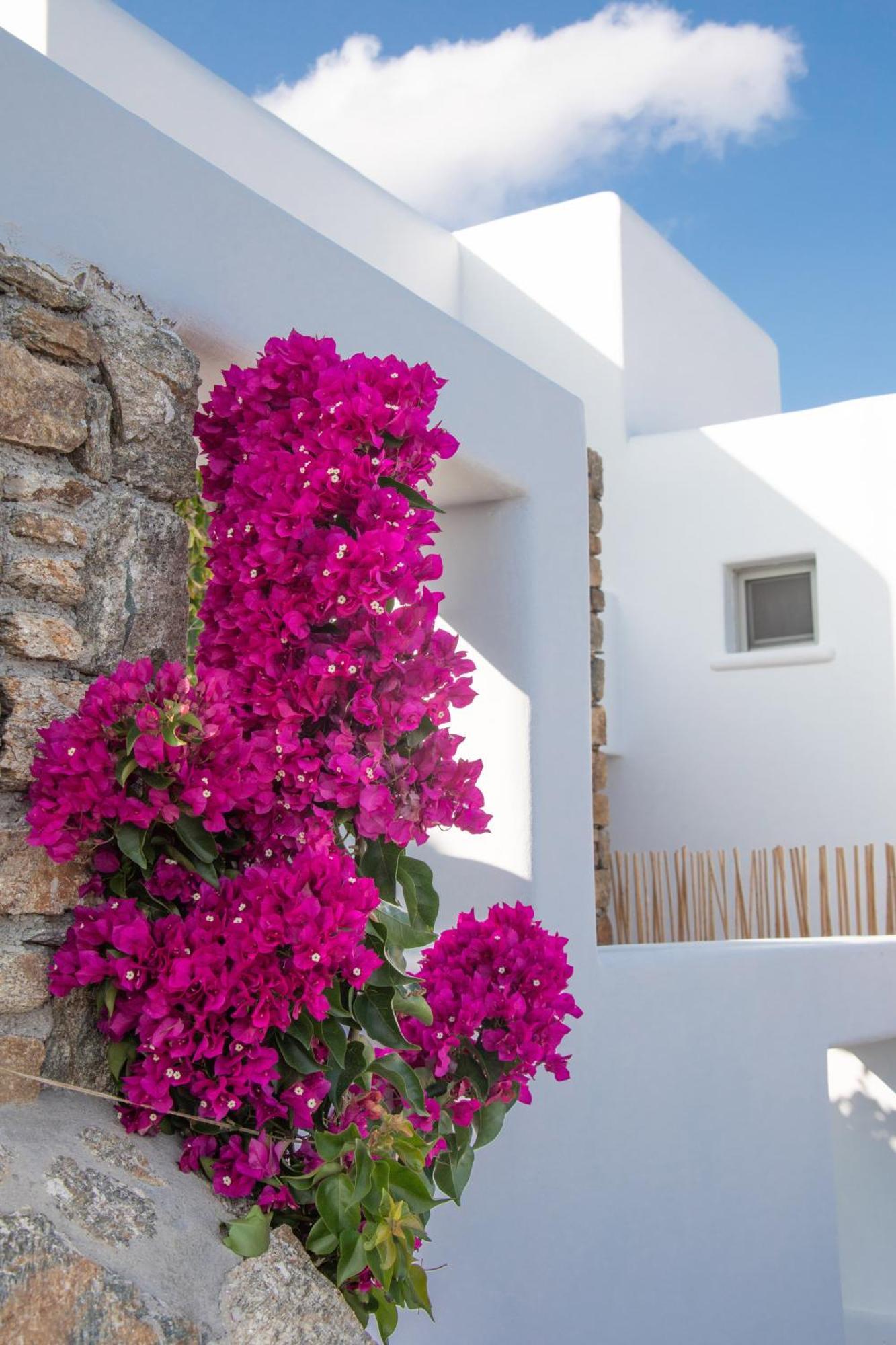 The Summit Of Mykonos Bed & Breakfast Kalo Livadi Exterior photo